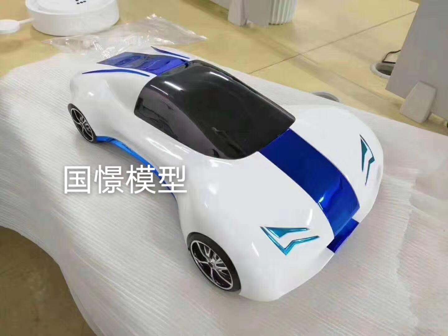 阜南县车辆模型