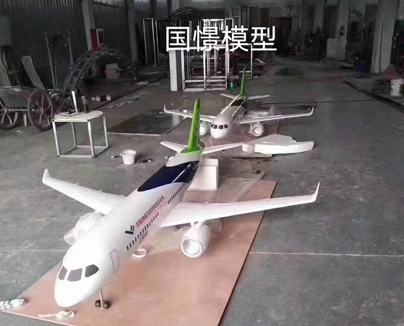 阜南县飞机模型