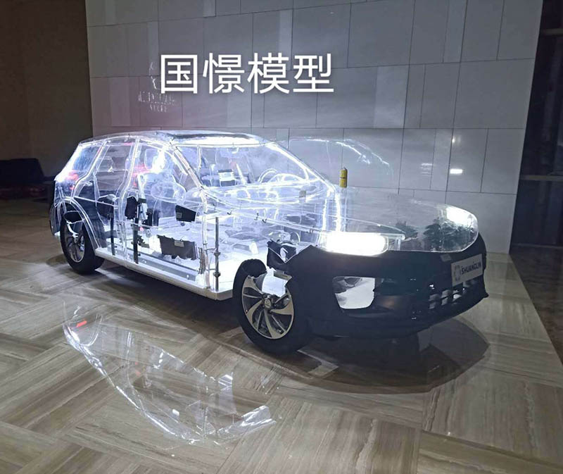 阜南县透明车模型